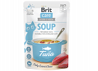 Cat Soup