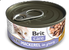  Cat Cans