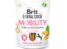Dental Sticks Mobility