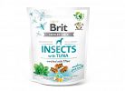 Snack Crunchy Cracker Insects 