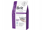 Cat Gastrointestinal High Fibre