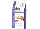 Dog Gastrointestinal-Low Fat