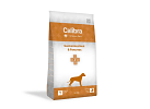Dog Gastrointestinal & Pancreas