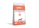  Dog Gastrointestinal & Pancreas Low Fat
