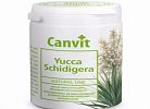 Yucca Schidigera