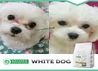 SUPERIOR CARE -WHITE DOGS ADULT SMALL & MINI WHITE FISH